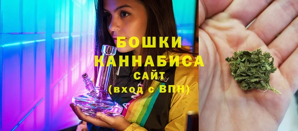 гидропоника Медногорск